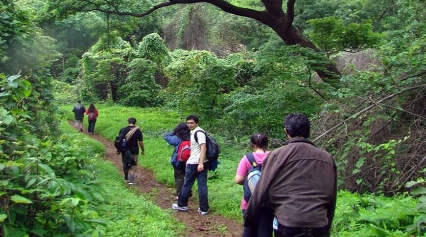 saddle-peak-national-park-in-diglipur-02