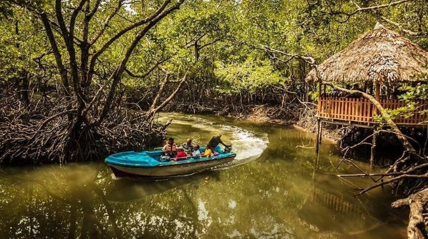 sailing-through-mangroves-baratang