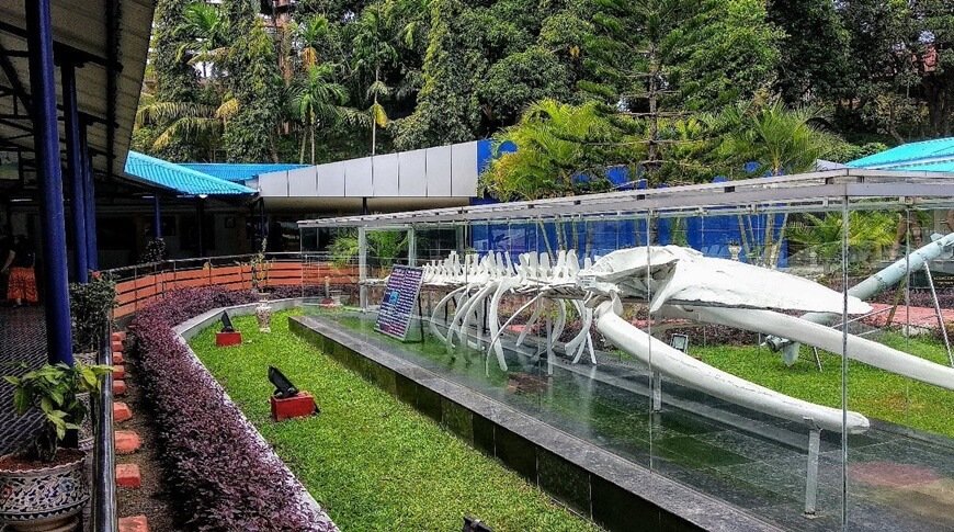 samudrika-port-blair-01